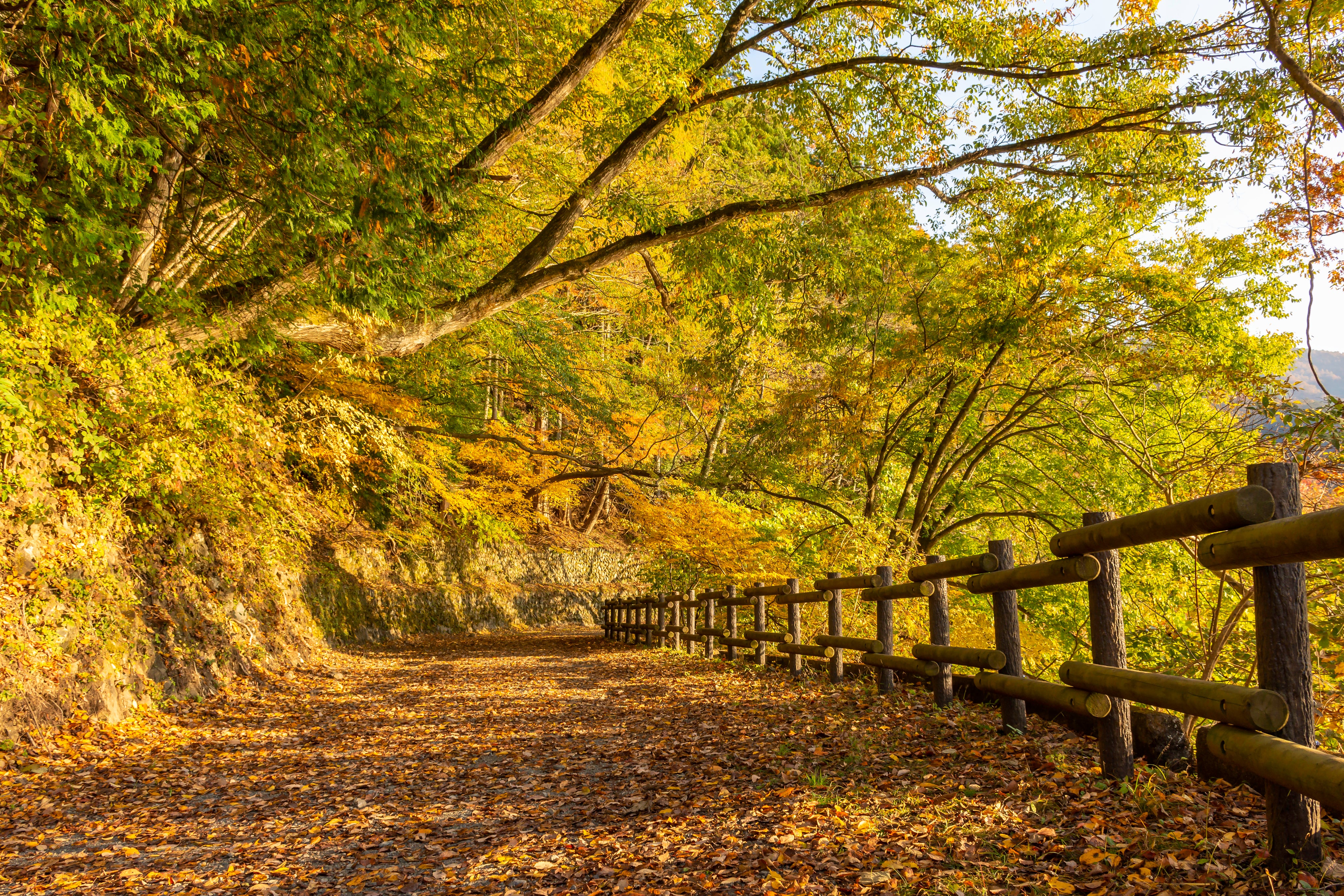 files/hillside-park-path-in-fall.jpg